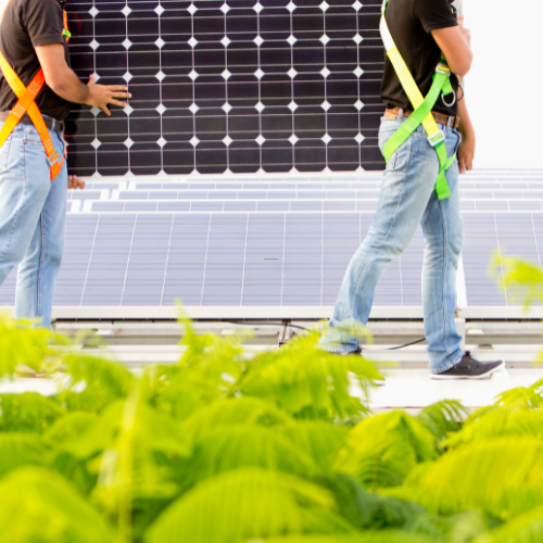 Sg Machinery SL España